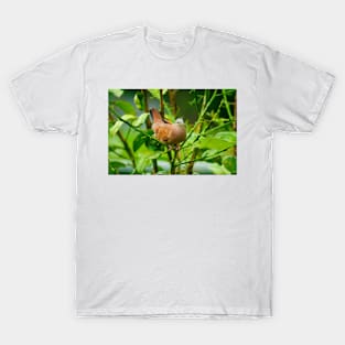 kli dove T-Shirt